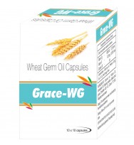 Manufacturers Exporters and Wholesale Suppliers of Grace WG Hyderabad Andhra Pradesh